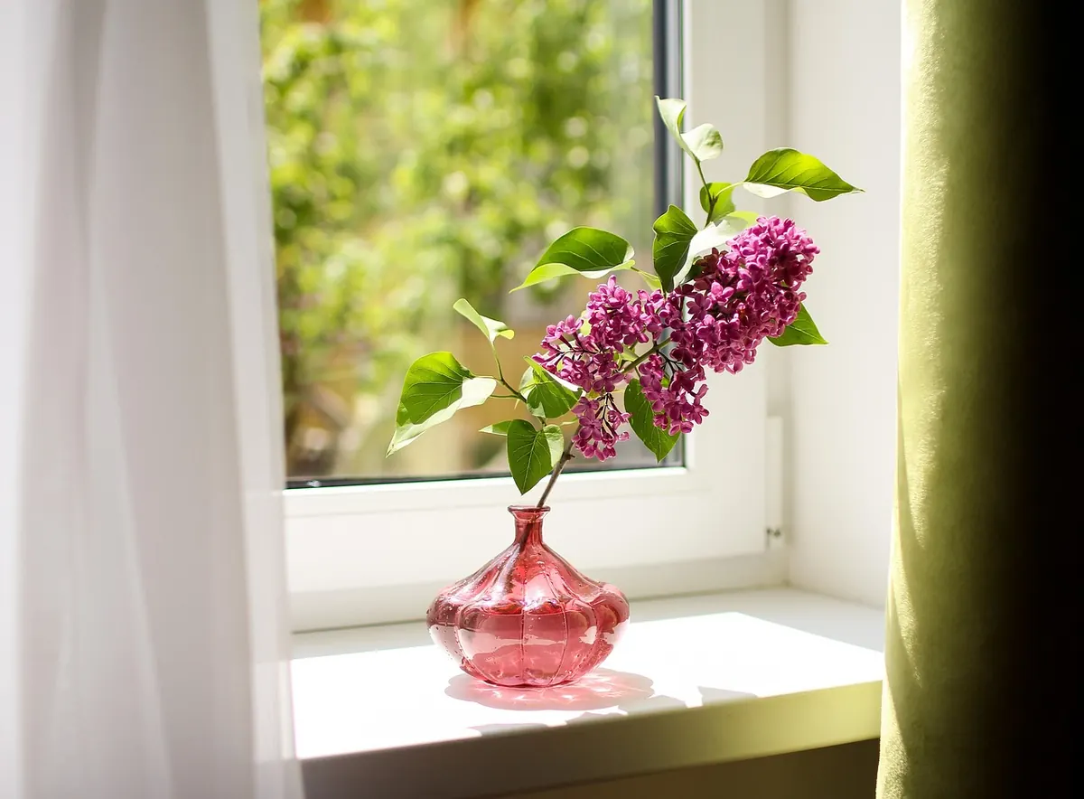 Growing Herbs on a Windowsill: A Beginner's Guide for UK Homes